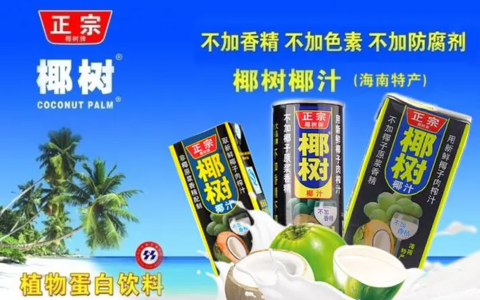 中国十大椰子汁品牌，销量最好的椰子汁品牌排行