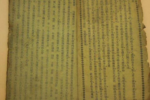 世界上最奇怪的书：罗洪特写本含有200多个字符