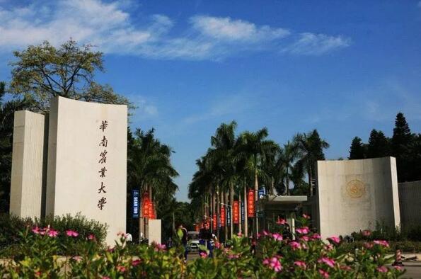 广东十大名牌大学排名，广东省十大大学排行榜