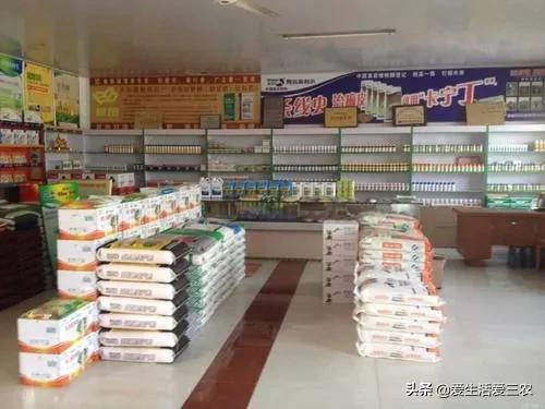 2元店在乡镇开适合吗,前景好的乡镇实体店