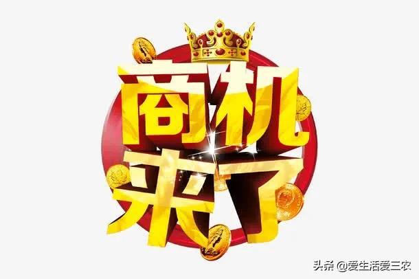 1000元投资什么最赚钱(小本投资什么最赚钱农村)