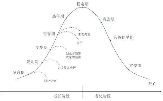 圣商王玥简历图片