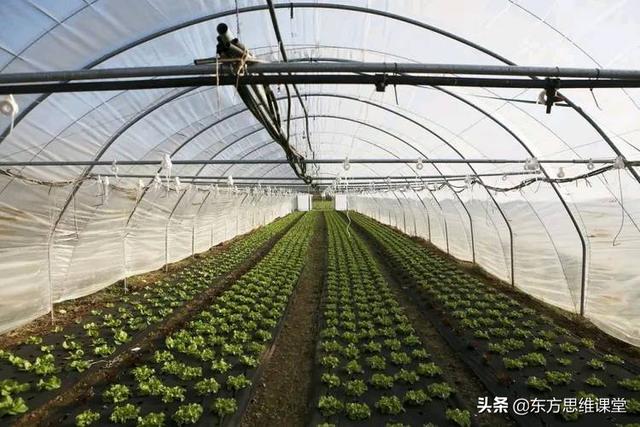 2020互联网创业项目(网络创业项目排行榜)