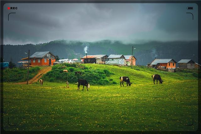 适合一个人开的小店 农村开什么店最赚钱投资小