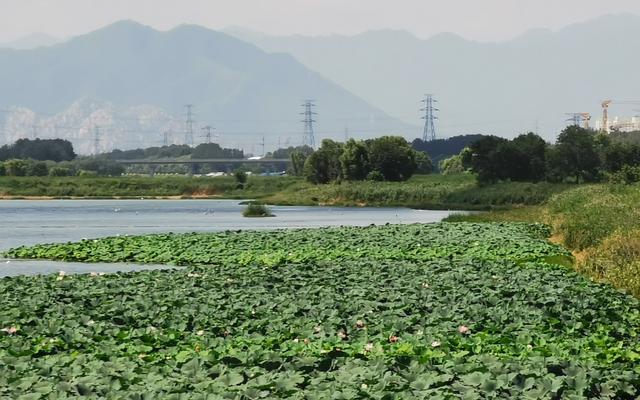 农场日记游戏 农场创业记游戏下载