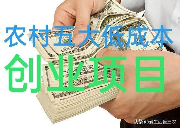 什么行业成本低利润高,投资低金额创业新门路