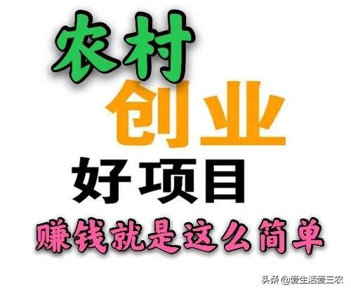 农村怎么创业致富 农民如何创业