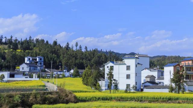 回农村创业有补助吗 农村创业有补助吗