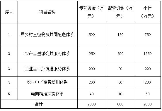电子商务网上开店策划书 电子商务创业项目策划书范文