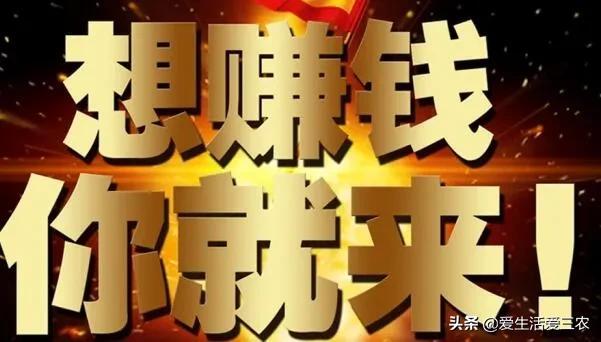 寻找家庭加工项目,家庭创业代加工小项目