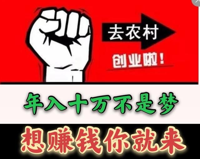 2020年创业哪个行业前景好 今年农村干什么行业挣钱