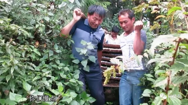 致富经频道_致富频道节目_致富频道拼音