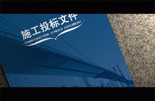 项目挂网招标流程 项目投标流程