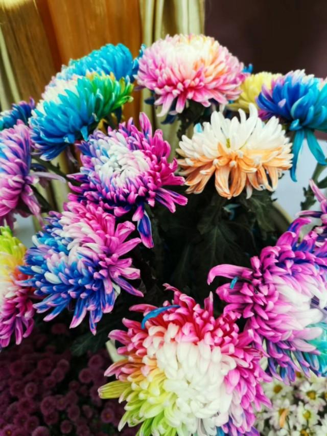 关于二次创业的诗歌 创业诗歌