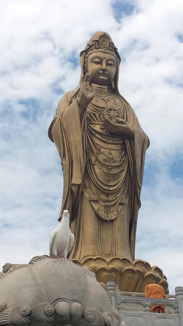 创业的准备条件有哪些,创业成功的必备条件