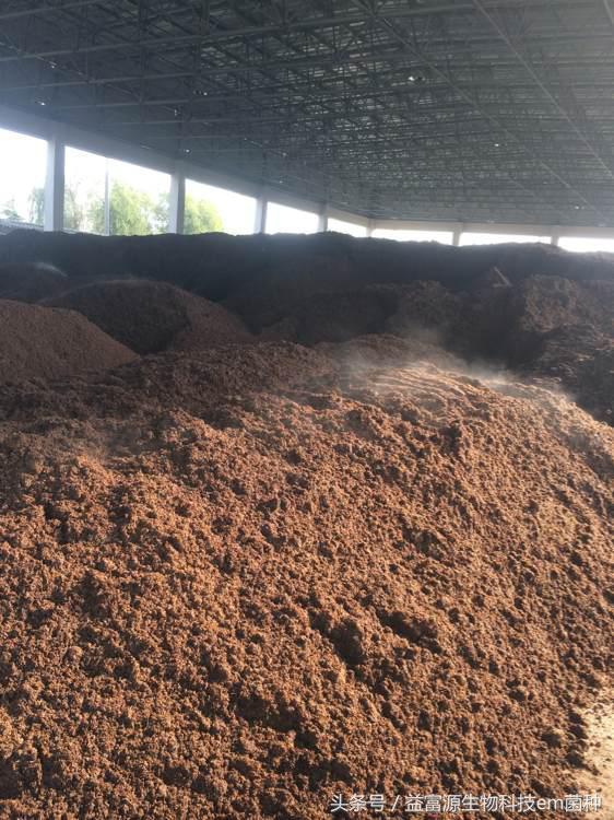 小型养猪创业计划书 创业酿酒