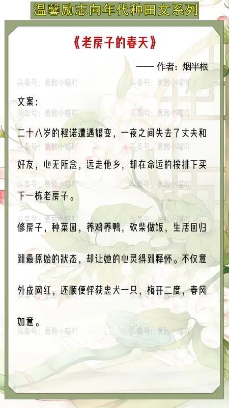 女主创业,女主陪男主一起创业