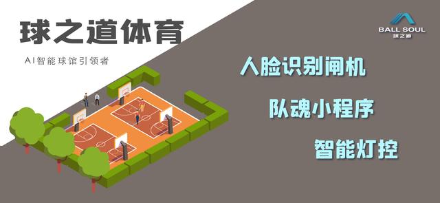 以篮球为主题的创业项目,篮球创新创业项目计划书