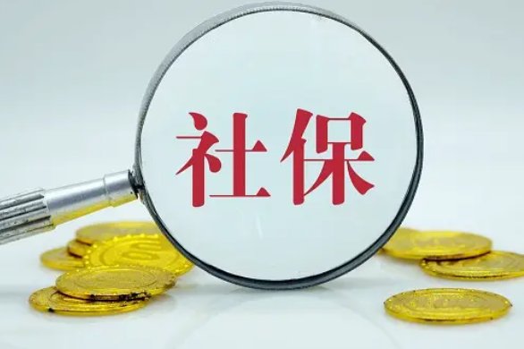 社保怎么在微信怎么缴费查询？微信社保查询个人缴费明细